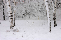 Авторские работы фотохудожника Сергея Кузьмина