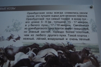  Орский краеведческий музей